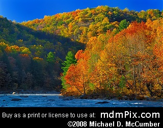 Youghiogheny Gorge at Ohiopyle State Park, Pennsylvania picture 089 - October 21, 2006