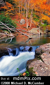 2006-10-25_041