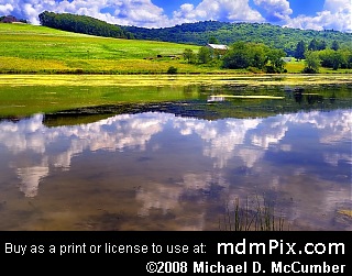 Lake Donegal Reflections PA