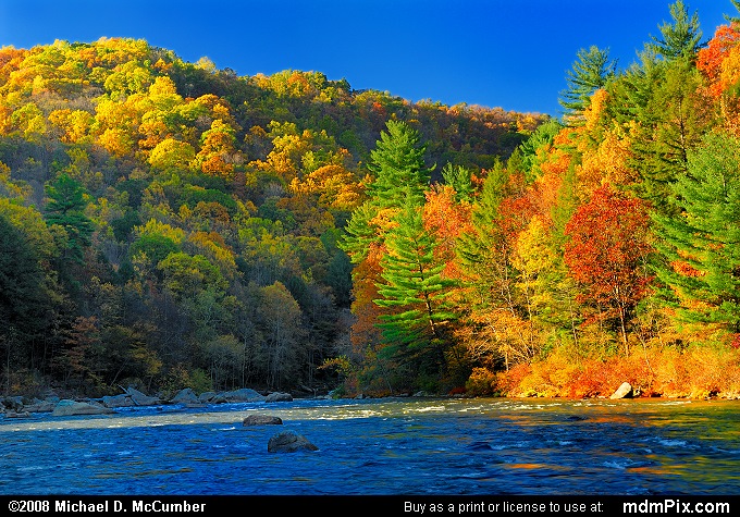 Youghiogheny River (Youghiogheny River Picture 095 - October 21, 2006 from Ohiopyle State Park, Pennsylvania)