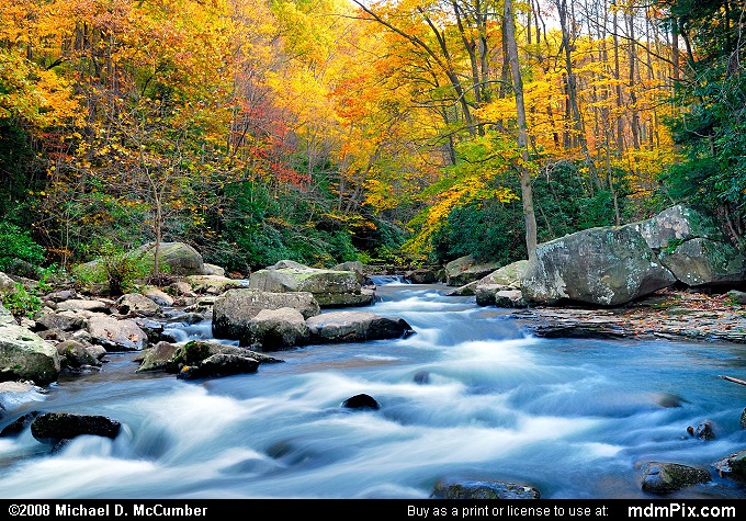 Meadow Run (Meadow Run Picture 127 - October 21, 2006 from Ohiopyle State Park, Pennsylvania)