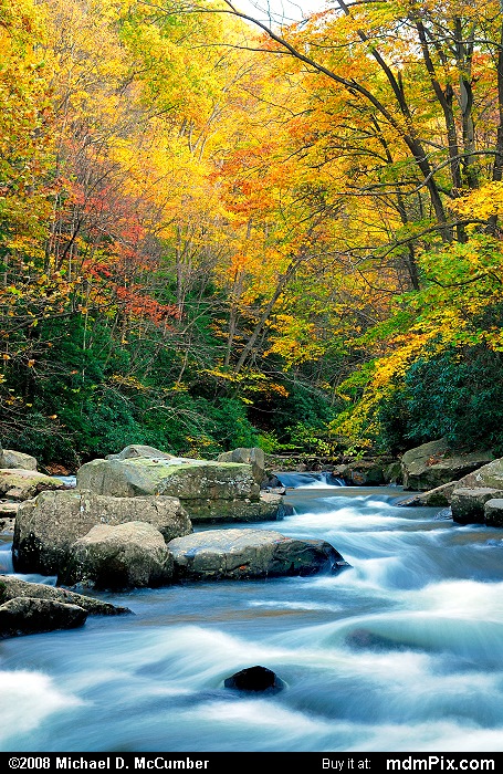Meadow Run (Meadow Run Picture 128 - October 21, 2006 from Ohiopyle State Park, Pennsylvania)