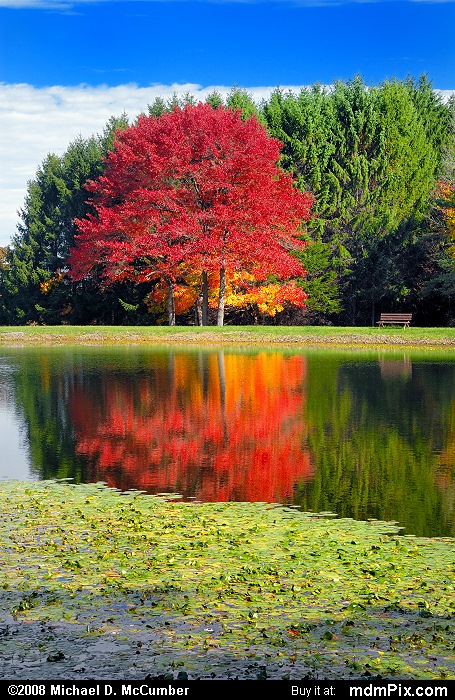 Somerset Historical Center Pond (024 - October 22, 2007)