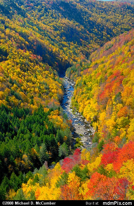 Blackwater Canyon (Blackwater Canyon Picture 012 - October 7, 2008 from Blackwater Falls State Park, West Virginia)