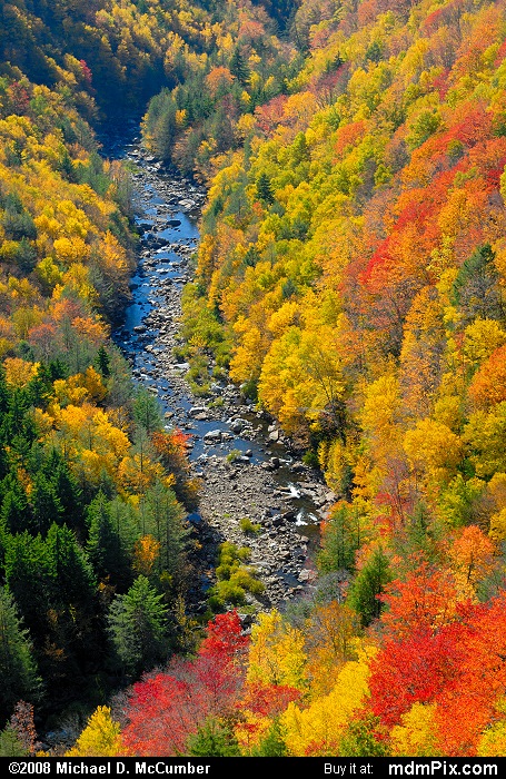 Blackwater River (Blackwater River Picture 031 - October 7, 2008 from Blackwater Falls State Park, West Virginia)
