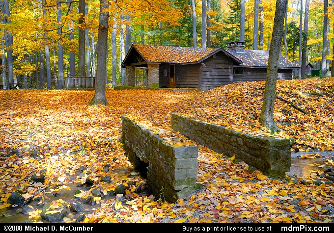 Linn Run State Park, Pennsylvania (059 - October 15, 2008)