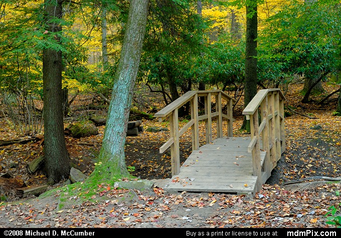 Linn Run State Park, Pennsylvania (097 - October 15, 2008)