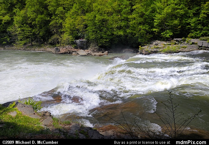 Ohiopyle Falls (Ohiopyle Falls Picture 002 - May 10, 2009 from Ohiopyle State Park, Pennsylvania)
