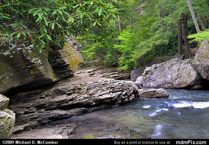 Meadow Run (Meadow Run Picture 040 - May 10, 2009 from Ohiopyle State Park, Pennsylvania)
