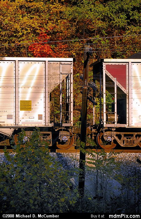 Coal Gondola Hopper (097 - October 22, 2009)