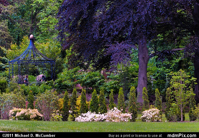 Wildwood Manor House Garden (001 - May 28, 2011)