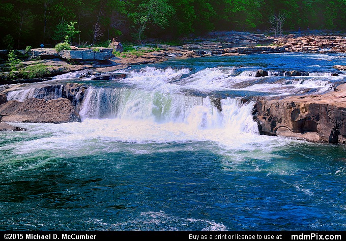 Ohiopyle Falls (Ohiopyle Falls Picture 002 - May 14, 2015 from Ohiopyle State Park, Pennsylvania)