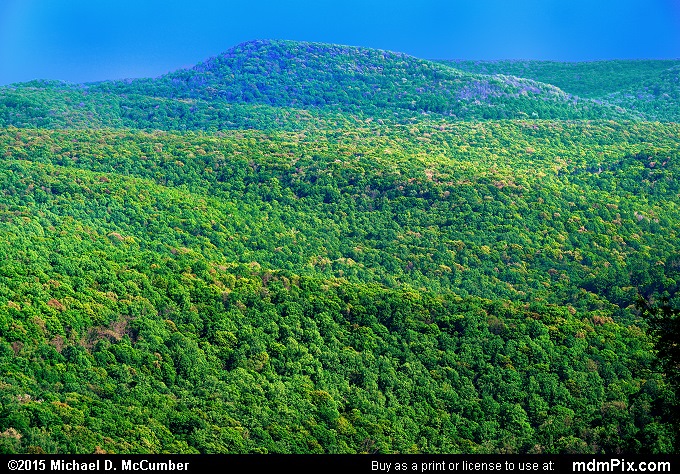 Sugarloaf Knob (Sugarloaf Knob Picture 026 - May 14, 2015 from Ohiopyle State Park, Pennsylvania)