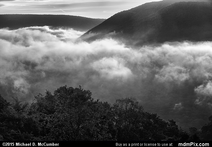 Baughman Rock Overlook (Baughman Rock Overlook Black and White Picture 024 - September 19, 2015 from Ohiopyle State Park, Pennsylvania)