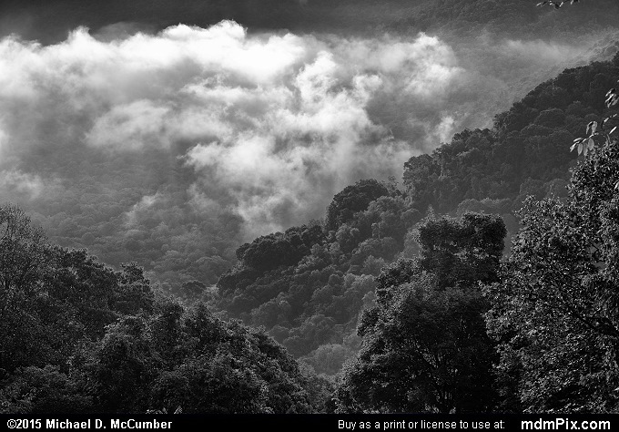 Baughman Rock Overlook (Baughman Rock Overlook Black and White Picture 026 - September 19, 2015 from Ohiopyle State Park, Pennsylvania)