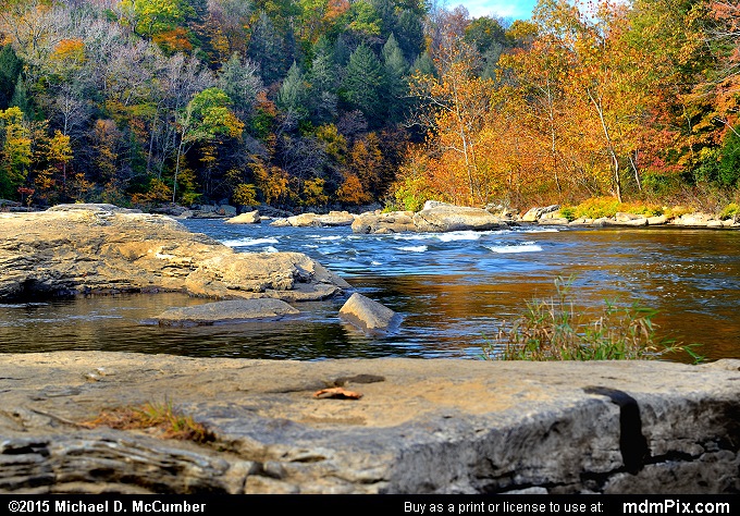 Youghiogheny River (Youghiogheny River Picture 049 - October 22, 2015 from Ohiopyle State Park, Pennsylvania)