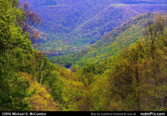 Youghiogheny Gorge (Youghiogheny Gorge Picture 010 - May 8, 2016 from Ohiopyle State Park, Pennsylvania)