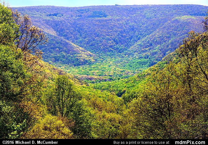 Kentuck Overlook (Kentuck Overlook Picture 012 - May 8, 2016 from Ohiopyle State Park, Pennsylvania)