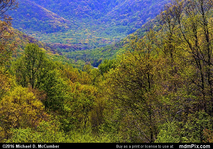 Kentuck Overlook (Kentuck Overlook Picture 013 - May 8, 2016 from Ohiopyle State Park, Pennsylvania)