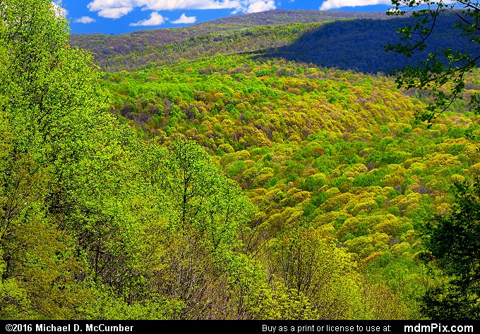 Kentuck Trail (Kentuck Trail Picture 027 - May 8, 2016 from Ohiopyle State Park, Pennsylvania)