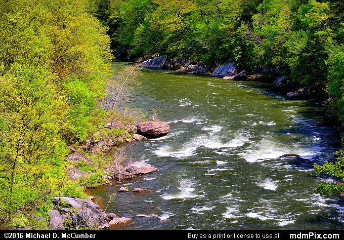 Youghiogheny River (Youghiogheny River Picture 033 - May 8, 2016 from Ohiopyle State Park, Pennsylvania)