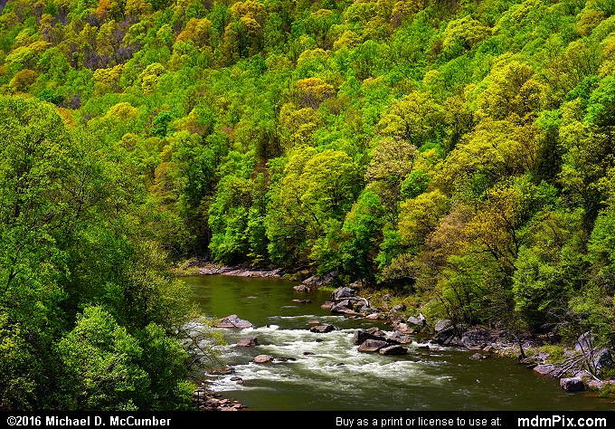 Youghiogheny River (Youghiogheny River Picture 038 - May 8, 2016 from Ohiopyle State Park, Pennsylvania)