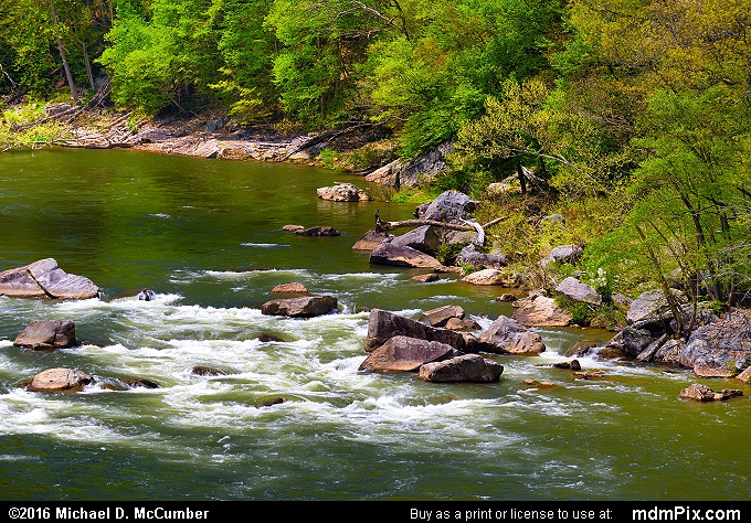 Youghiogheny River (Youghiogheny River Picture 041 - May 8, 2016 from Ohiopyle State Park, Pennsylvania)