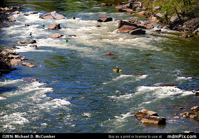 Youghiogheny River (Youghiogheny River Picture 044 - May 8, 2016 from Ohiopyle State Park, Pennsylvania)