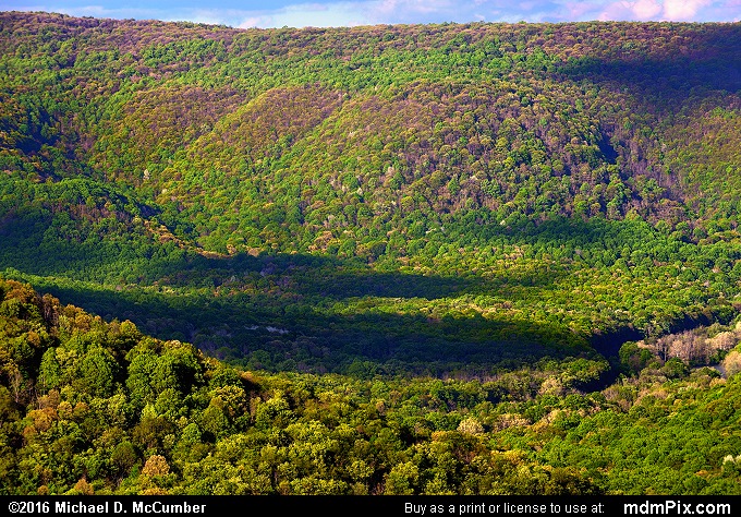Youghiogheny Gorge (Youghiogheny Gorge Picture 022 - May 16, 2016 from Ohiopyle State Park, Pennsylvania)