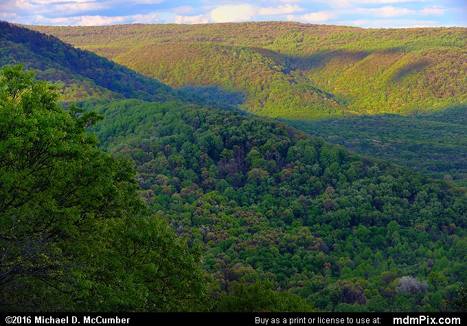 Laurel Ridge (Laurel Ridge Picture 025 - May 16, 2016 from Ohiopyle State Park, Pennsylvania)