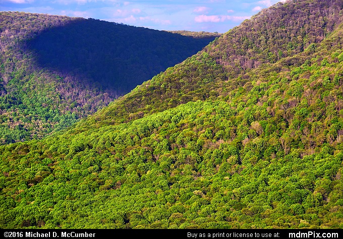 Laurel Ridge (Laurel Ridge Picture 038 - May 16, 2016 from Ohiopyle State Park, Pennsylvania)