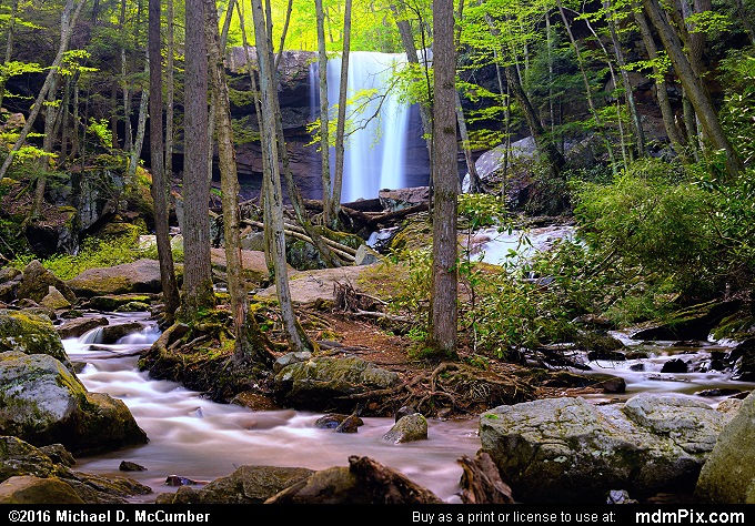 Cucumber Run (Cucumber Run Picture 048 - May 16, 2016 from Ohiopyle State Park, Pennsylvania)