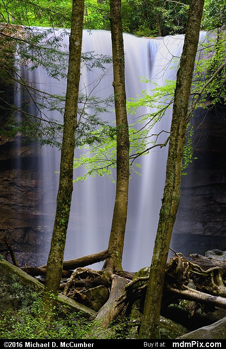 Cucumber Falls (Cucumber Falls Picture 051 - May 16, 2016 from Ohiopyle State Park, Pennsylvania)