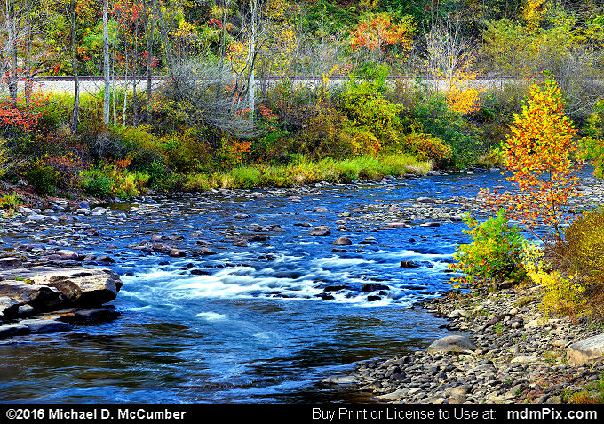 Casselman River (Casselman River Picture 027 - October 18, 2016 from Upper Turkeyfoot Township, Pennsylvania)