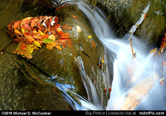 Cascading Waterfall (Cascading Waterfall Picture 038 - October 29, 2016 from Ohiopyle State Park, Pennsylvania)