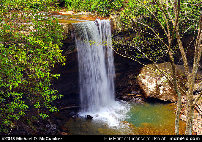 Cucumber Falls (Cucumber Falls Picture 022 - May 8, 2018 from Ohiopyle State Park, Pennsylvania)