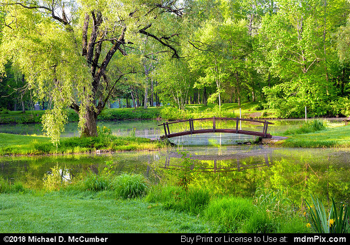 Rustic Bridge (Rustic Bridge Picture 013 - May 26, 2018 from Brush Creek Park, Pennsylvania)