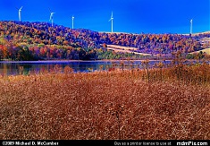 Cranberry Glade Lake 