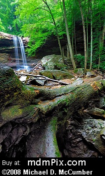 Cucumber Falls (Waterfalls) picture