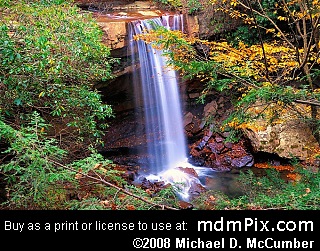 View from Cucumber Falls Gorge Rim Area