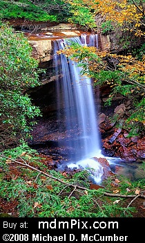 Cucumber Falls (Waterfalls) picture