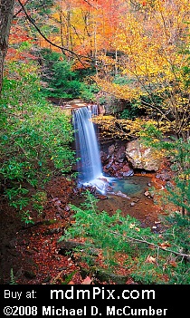 Cucumber Falls (Waterfalls) picture