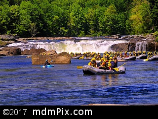 Ohiopyle Falls (Waterfalls) picture