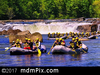 Ohiopyle Falls (Waterfalls) picture