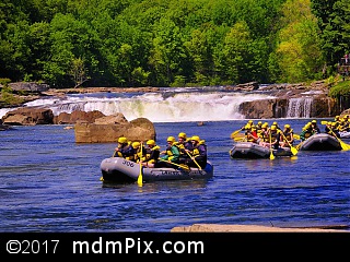 Ohiopyle Falls (Waterfalls) picture