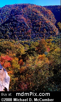 Youghiogheny Gorge (Canyons) picture