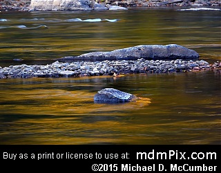 Youghiogheny River (Rivers) picture