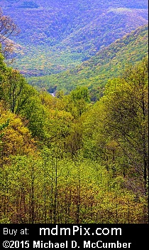 Kentuck Overlook (Overlooks) picture