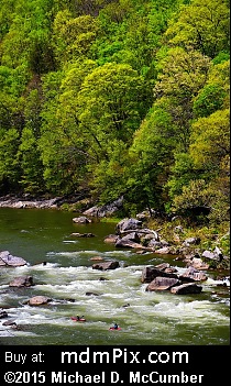 Youghiogheny River (Rivers) picture