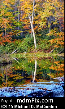 Jones Mill Pond (Ponds) picture